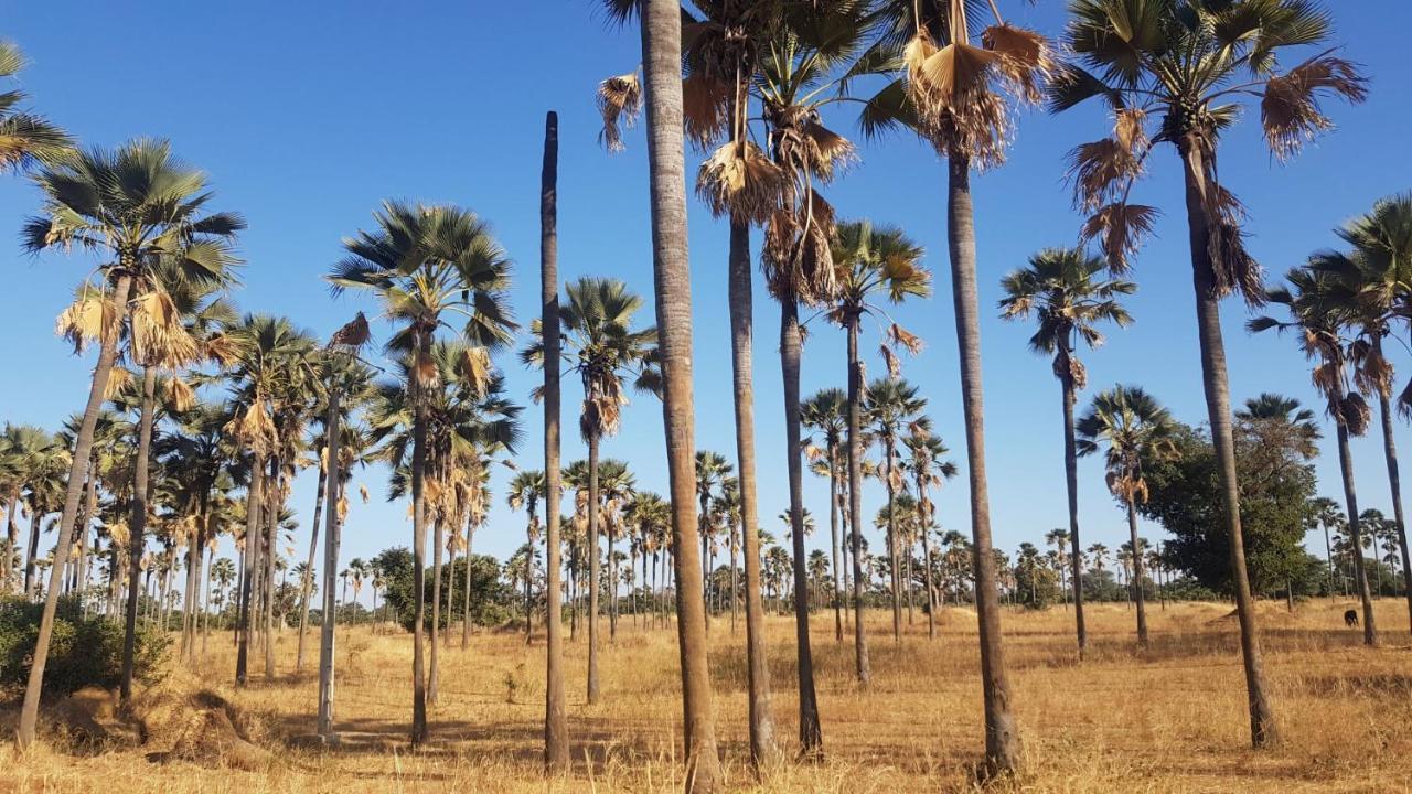 Villa Met Prive Zwembad In Residence Safari Village サリー・ポルチュダル エクステリア 写真