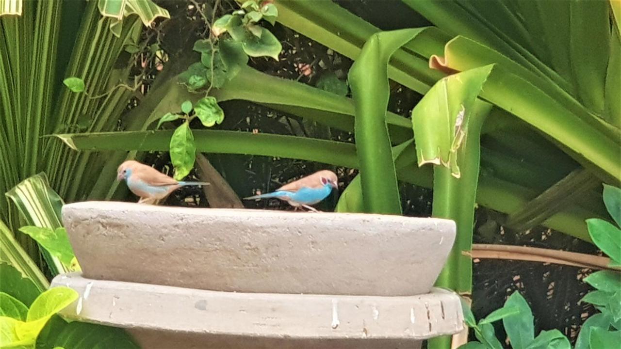 Villa Met Prive Zwembad In Residence Safari Village サリー・ポルチュダル エクステリア 写真