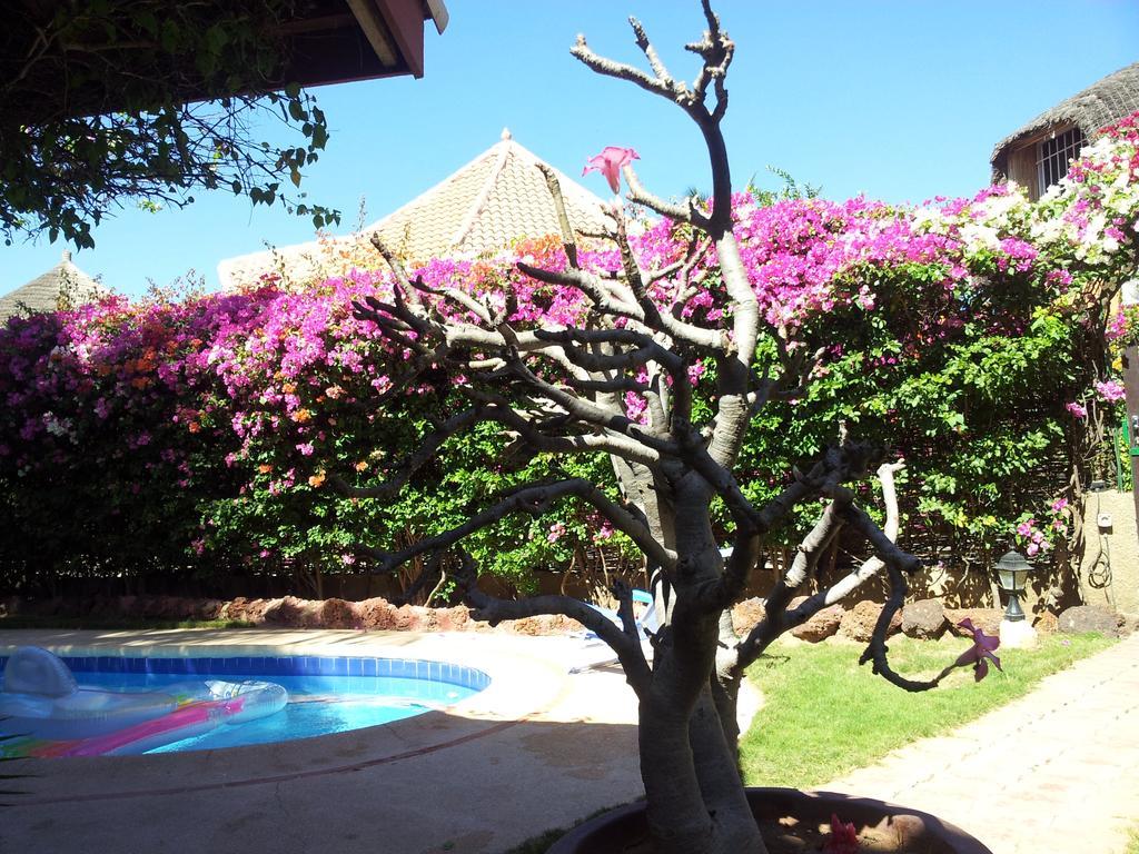 Villa Met Prive Zwembad In Residence Safari Village サリー・ポルチュダル エクステリア 写真