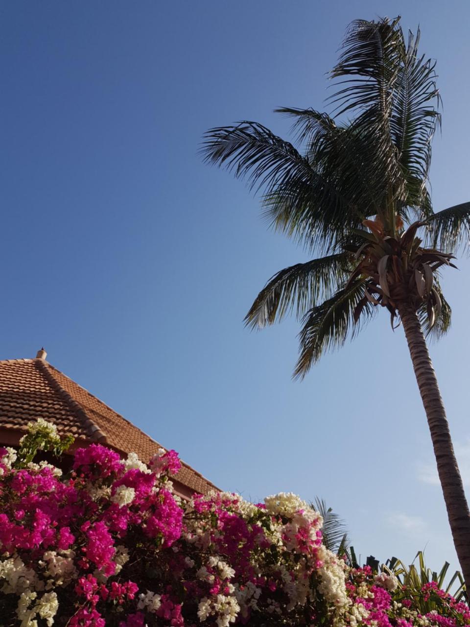 Villa Met Prive Zwembad In Residence Safari Village サリー・ポルチュダル エクステリア 写真